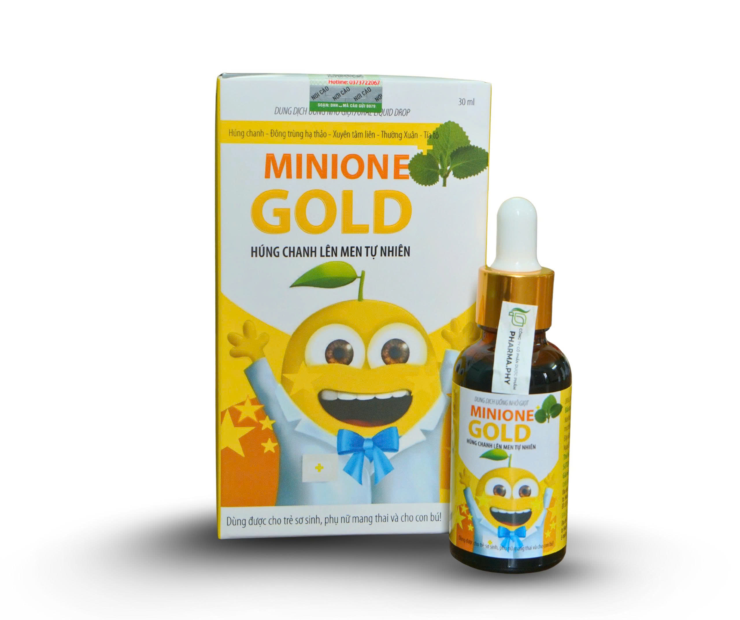Húng chanh lên men Minione Gold